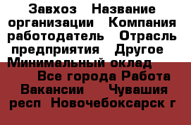 Завхоз › Название организации ­ Компания-работодатель › Отрасль предприятия ­ Другое › Минимальный оклад ­ 26 000 - Все города Работа » Вакансии   . Чувашия респ.,Новочебоксарск г.